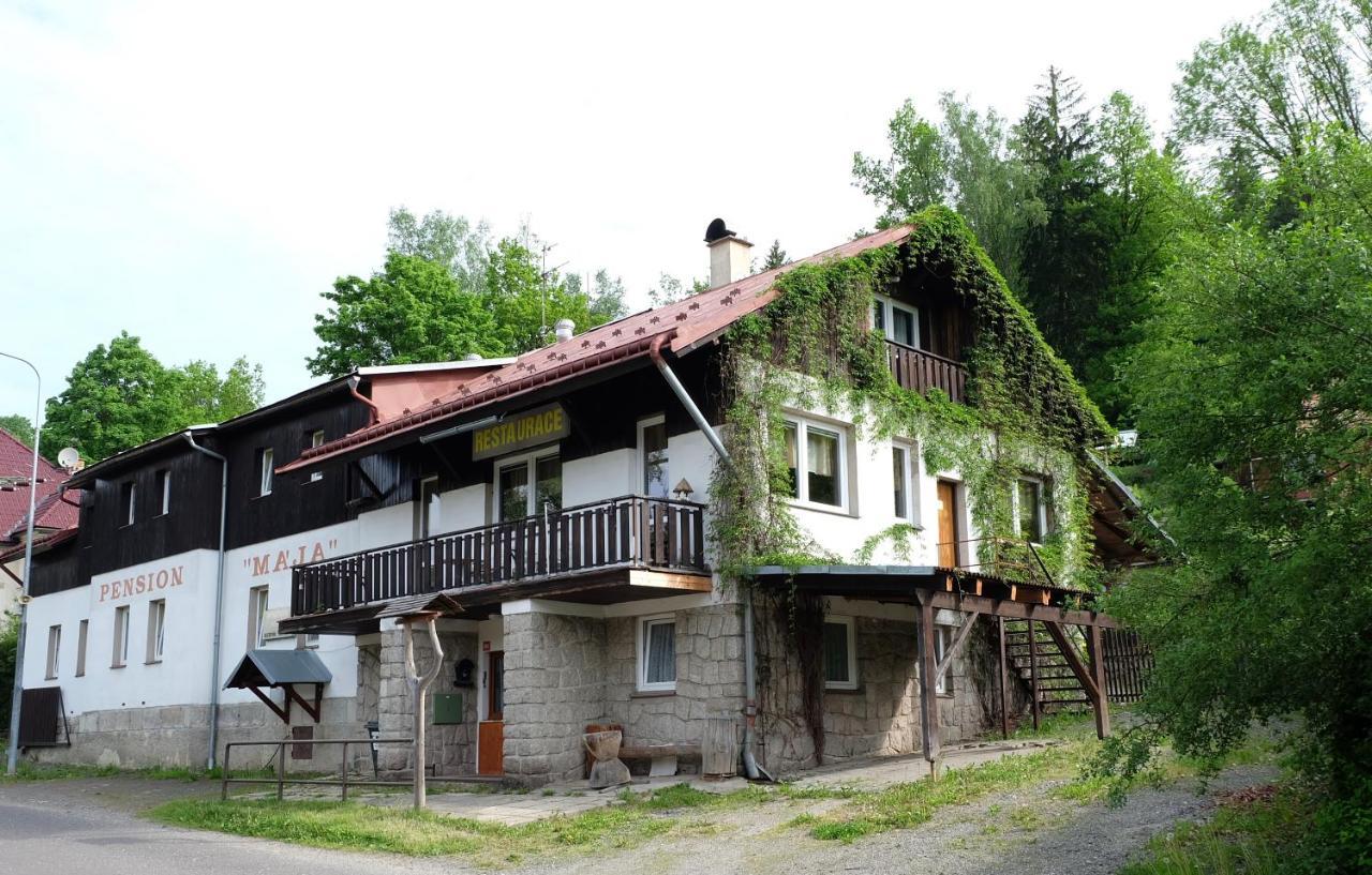 Penzion Maja Josefův Důl Extérieur photo